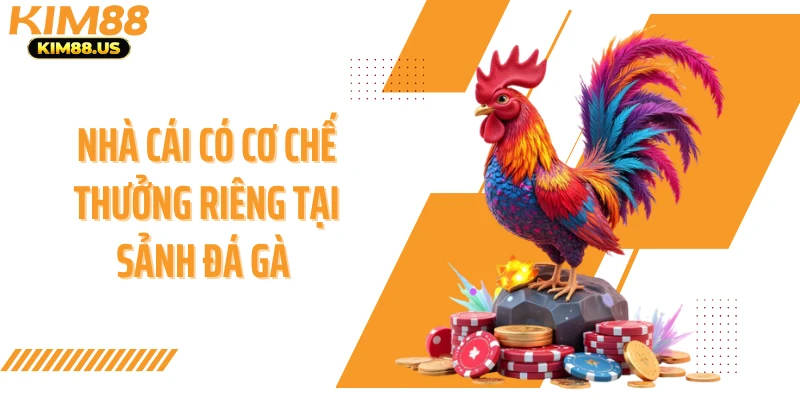 Nhà cái có cơ chế thưởng riêng tại sảnh đá gà 